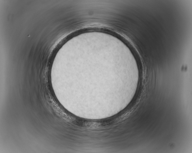 X0000114680783200911181229