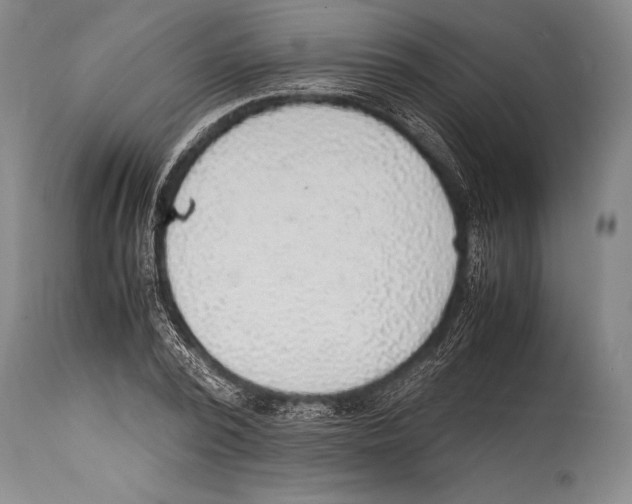 X0000114680784200911181229