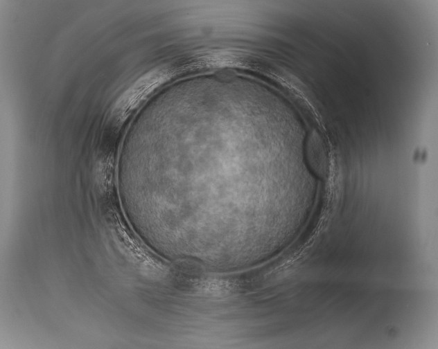 X0000114680785200911181229