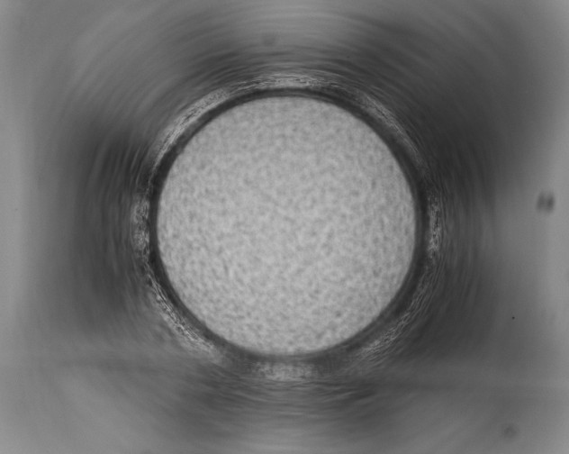 X0000114680786200911181229