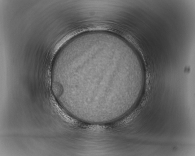 X0000114680789200911181229
