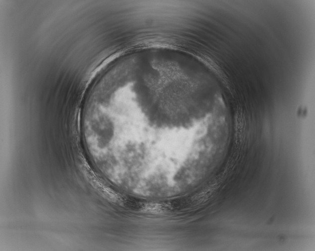 X0000114680790200911181229