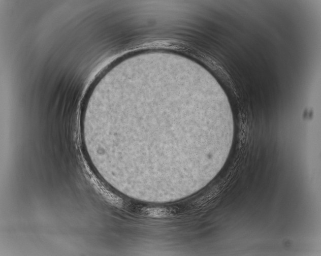 X0000114680792200911181229
