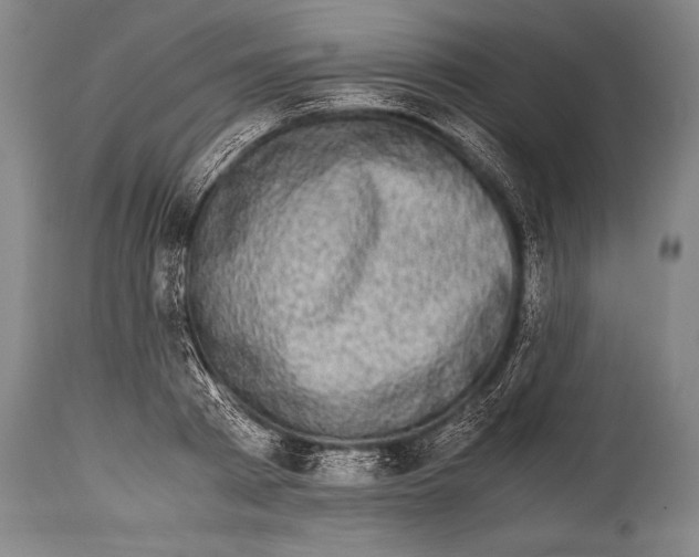 X0000114680793200911181229