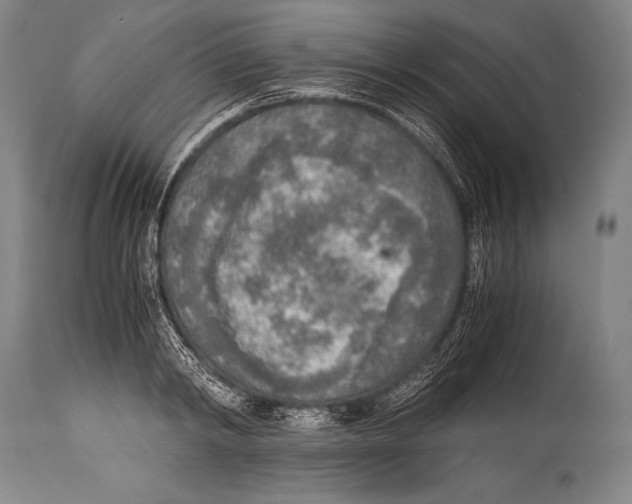 X0000114680798200911181229