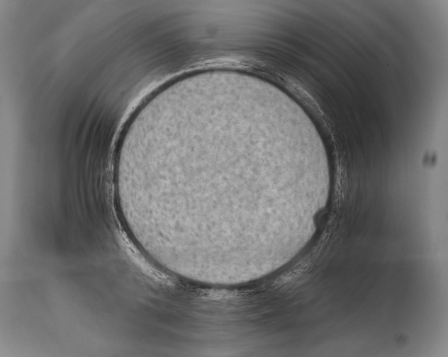 X0000114680800200911181229