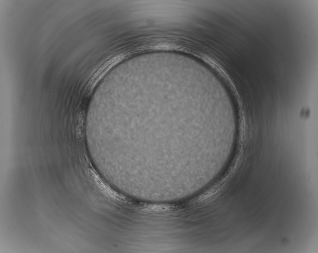 X0000114680801200911181229