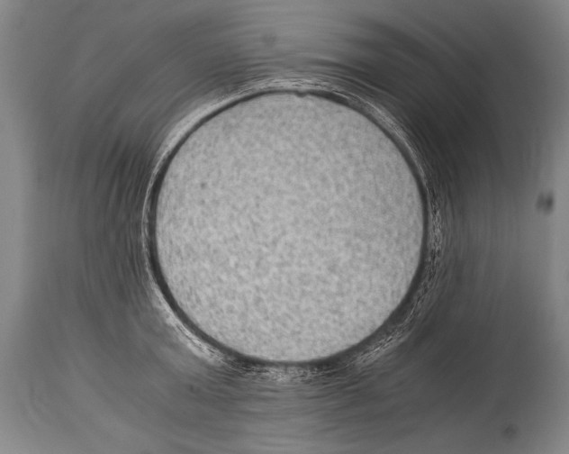 X0000114680803200911181229