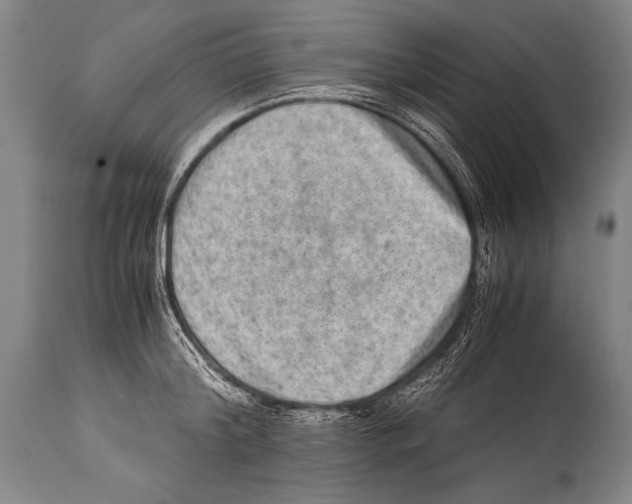 X0000114680804200911181229