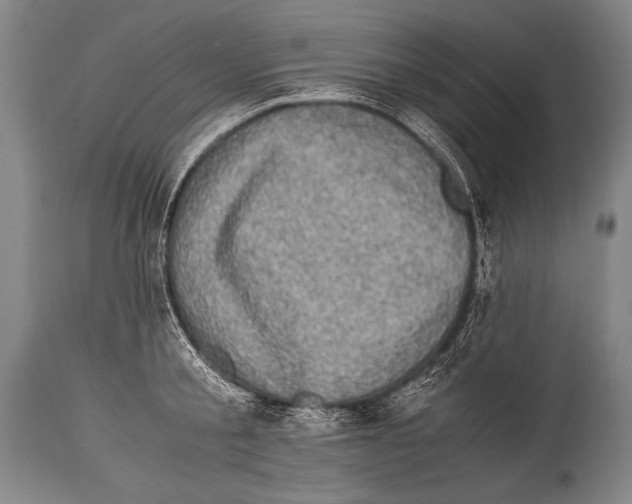 X0000114680805200911181229