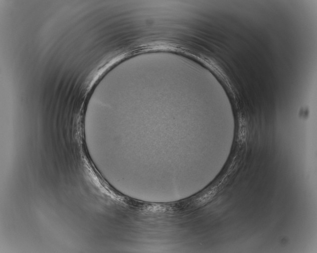 X0000114680806200911181229