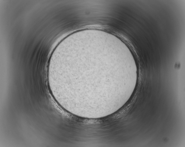 X0000114680808200911181229