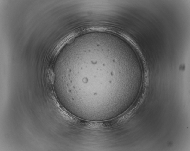X0000114680809200911181229