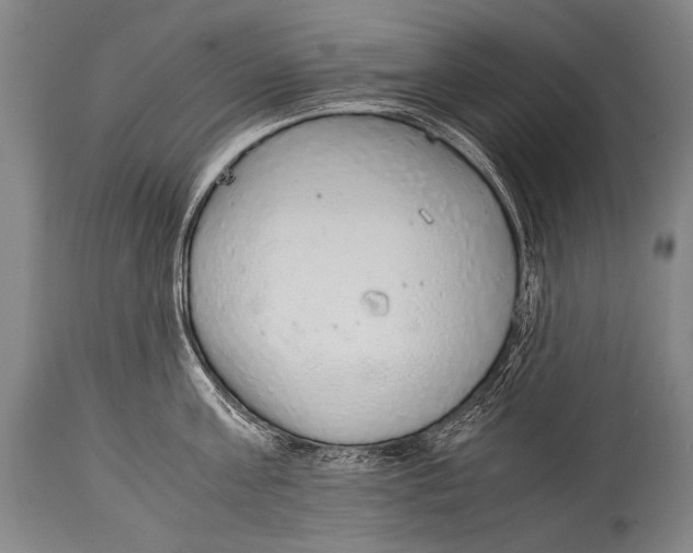 X0000114680811200911181229