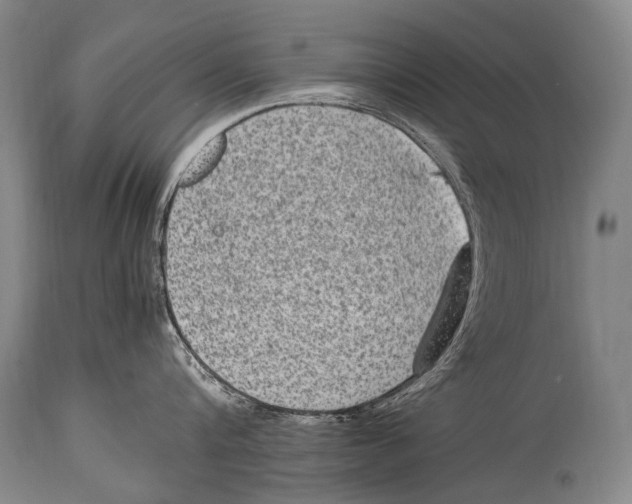 X0000114680816200911181229