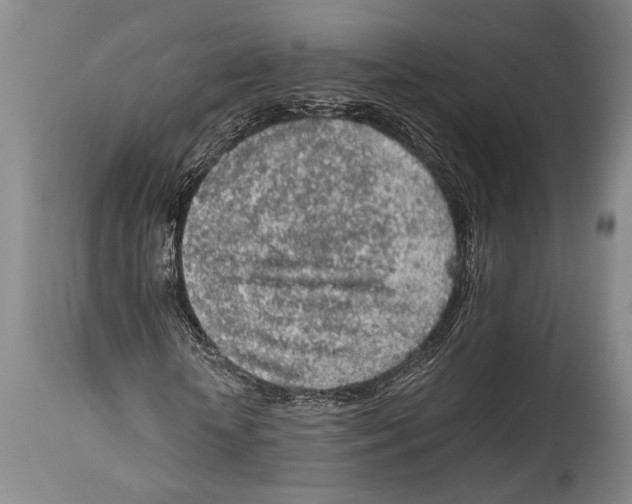 X0000114680818200911181228
