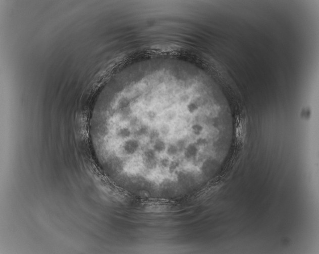 X0000114680819200911181228