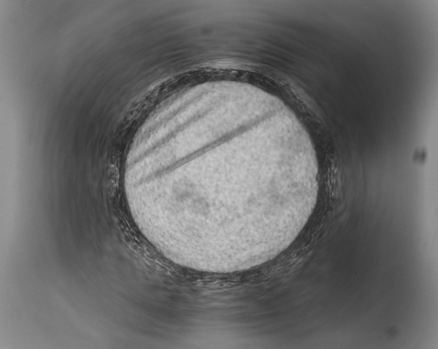 X0000114680821200911181228