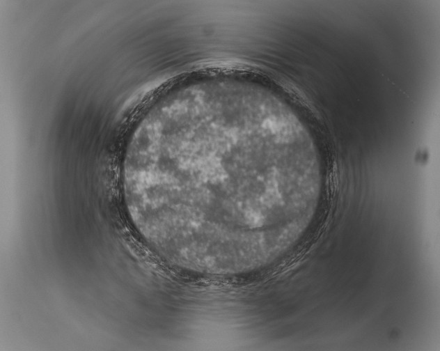 X0000114680822200911181228