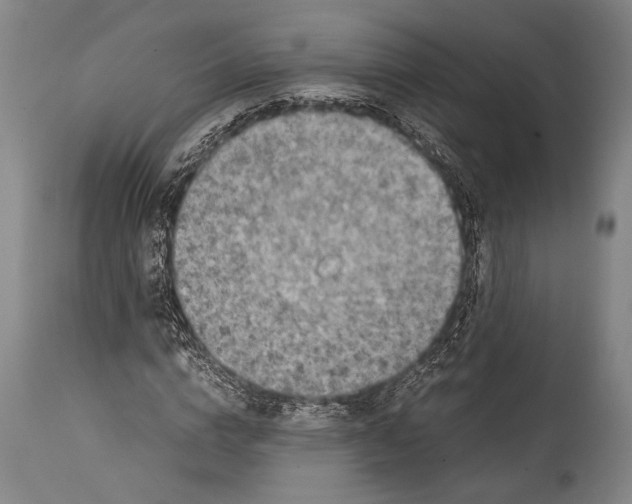 X0000114680824200911181228