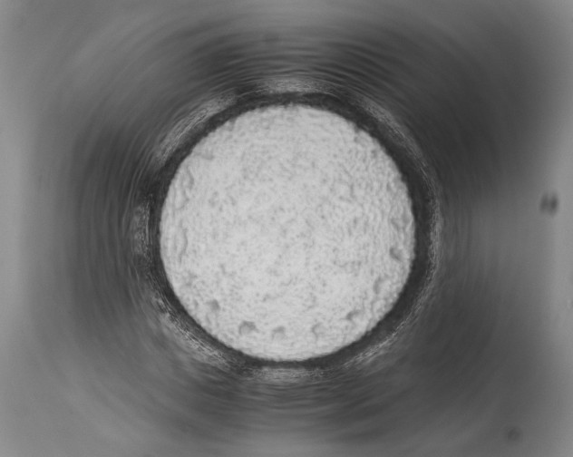 X0000114680825200911181228