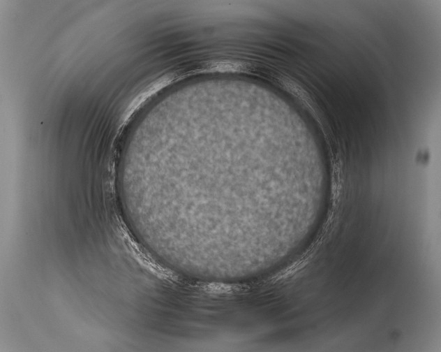 X0000114680827200911181228