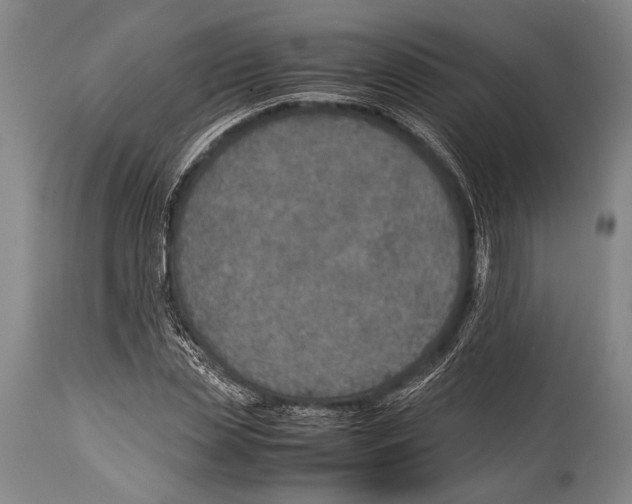 X0000114680829200911181228