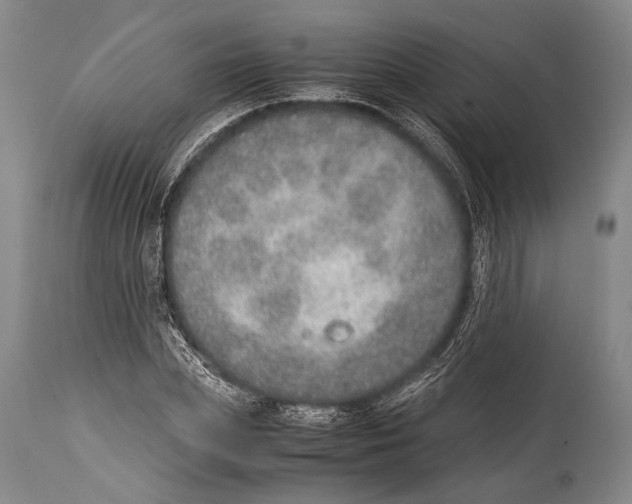 X0000114680831200911181228