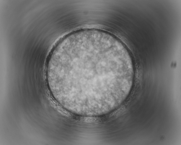 X0000114680832200911181228