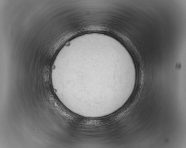 X0000114680833200911181228