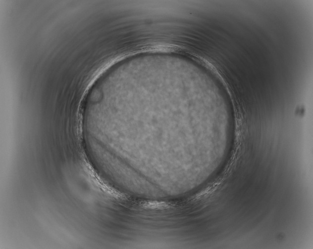 X0000114680835200911181228