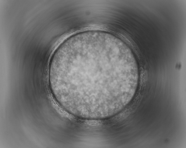 X0000114680836200911181228