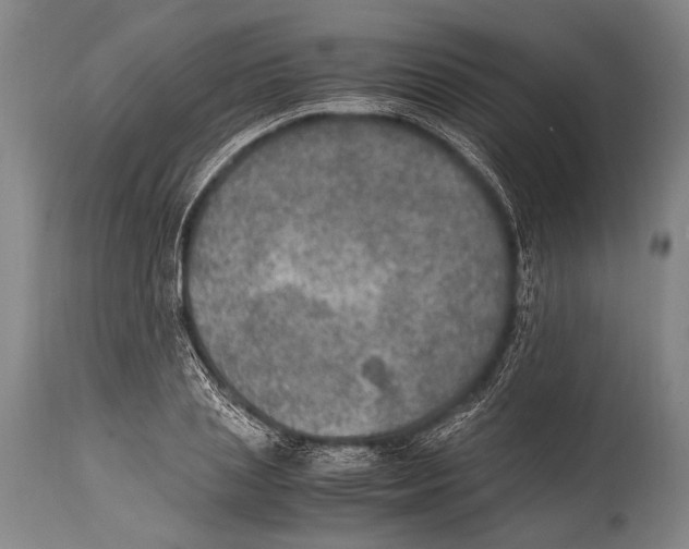 X0000114680837200911181228