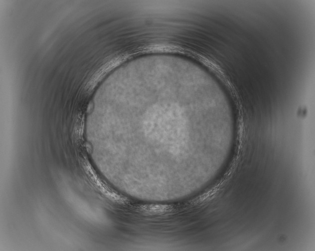 X0000114680841200911181228