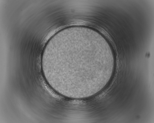 X0000114680842200911181228