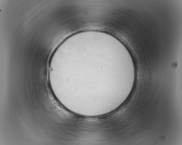 X0000114680844200911181229