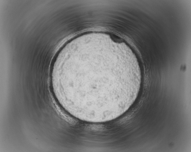 X0000114680845200911181229