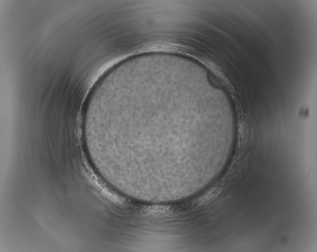 X0000114680846200911181229