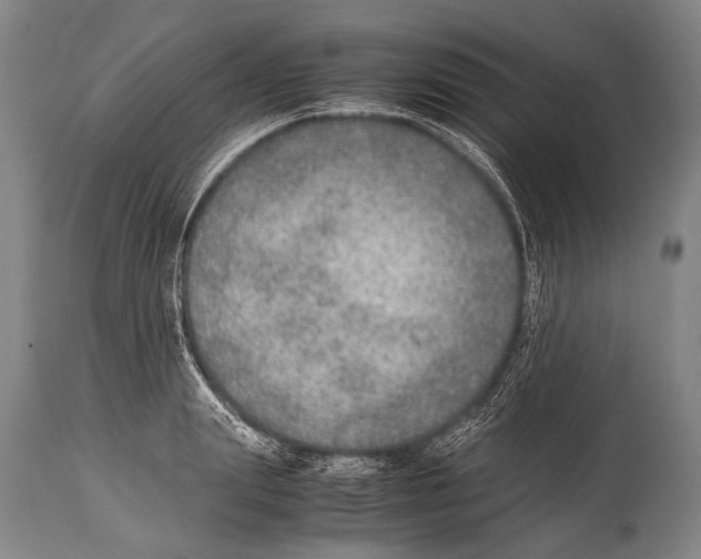 X0000114680847200911181229