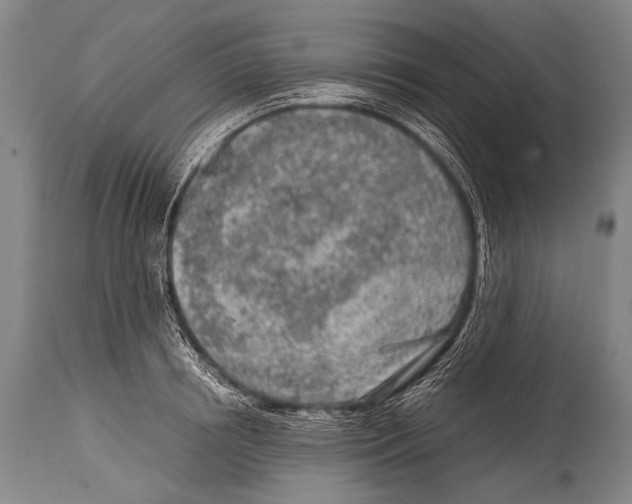 X0000114680850200911181229