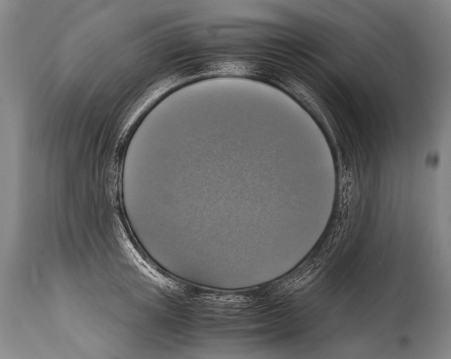 X0000114680851200911181229