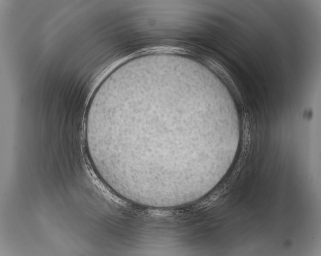 X0000114680852200911181229