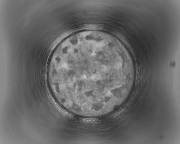 X0000114680853200911181229