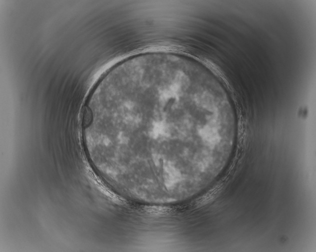 X0000114680854200911181229