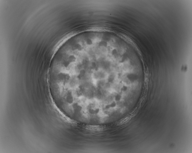 X0000114680855200911181229