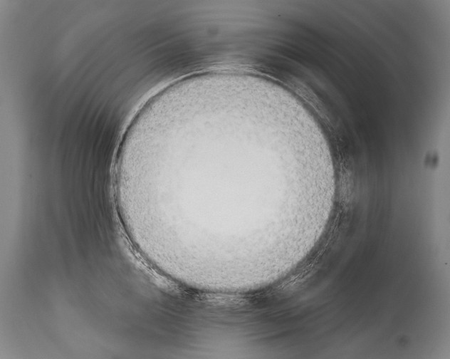 X0000114680856200911181229