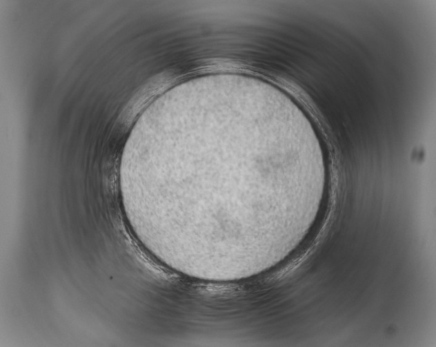 X0000114680857200911181229