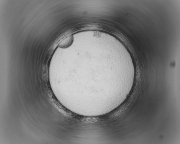 X0000114680858200911181229