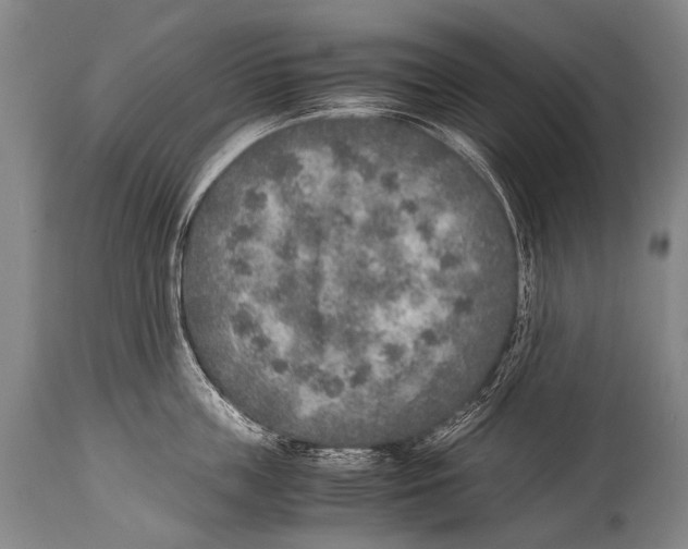 X0000114680859200911181229