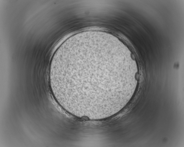 X0000114680860200911181229